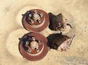 Leyland brake parts for Leyland