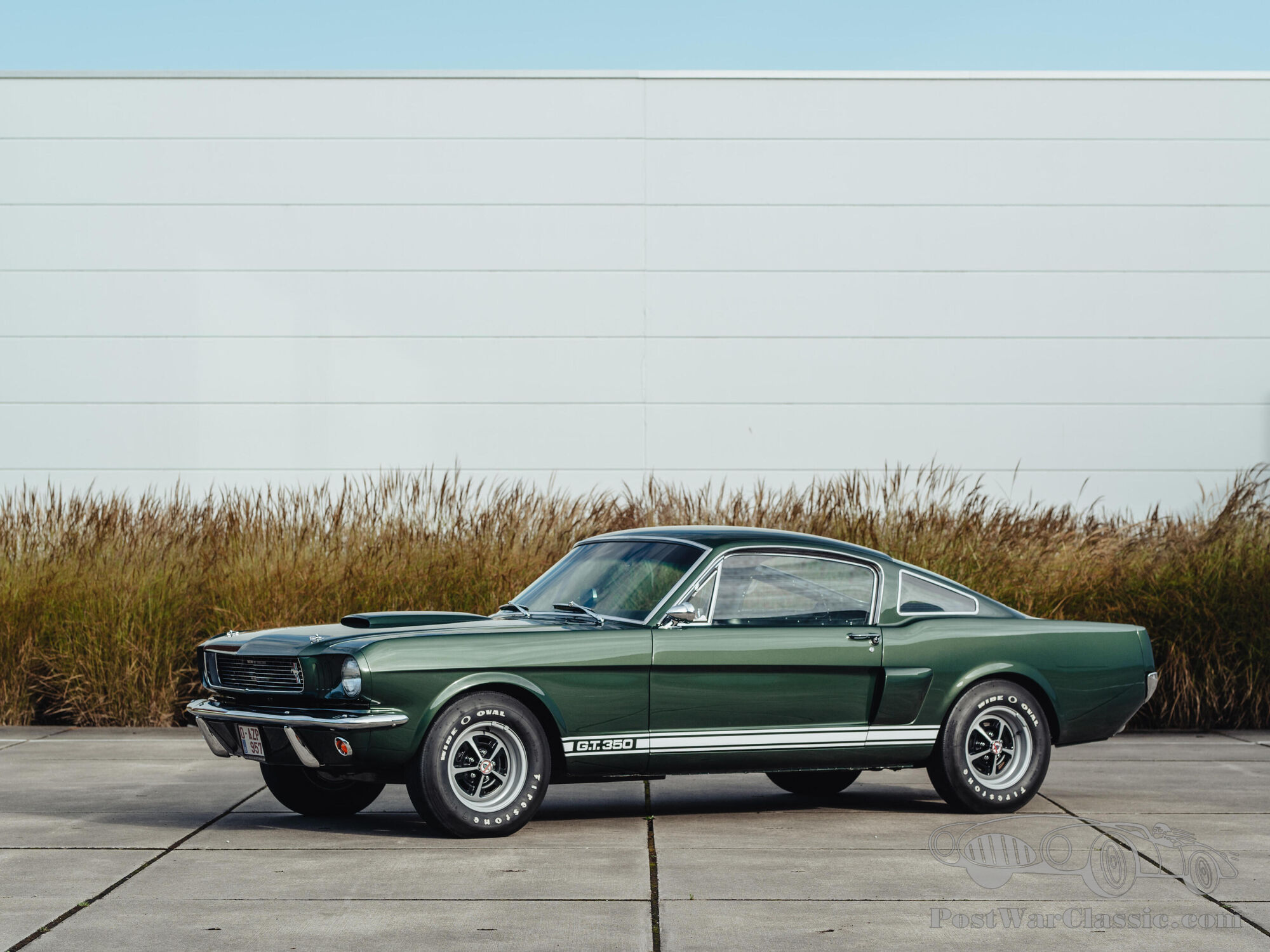 1966 Ford Shelby Mustang GT350 Coupé | The Zoute Sale 2024 by Bonhams|Cars