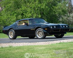 Pontiac Pontiac Firebird Trans Am Special Edition 1979 for sale