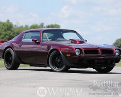 Pontiac Firebird Trans Am 1974 for sale