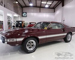 Shelby GT500 Fastback (Owned by Carroll Shelby) 1969 for sale