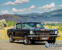 Shelby GT350H 1966 for sale