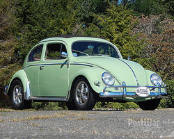 Volkswagen Beetle 1956