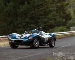Jaguar D-Type 1955 for sale