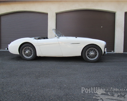 Austin Healey 100 1955