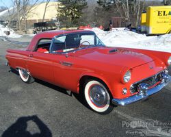 Ford Thunderbird convertible 1955 SOLD