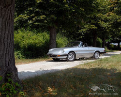 Aguttes Auction: 1983 - Alfa Romeo Spider