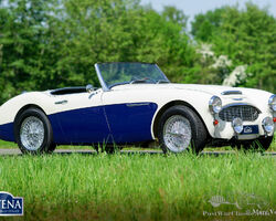 Austin Healey 100/6 '2 seater', 1958
