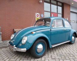 Volkswagen Beetle type 113