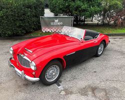 Austin Healey - 100/6 BN4 RHD - 1957