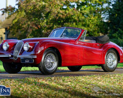 Jaguar XK 120 DHC