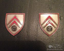 2 x Citroen DS hood badge