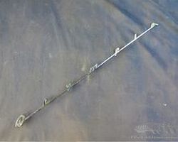 Opel screams Olimpia 55cm