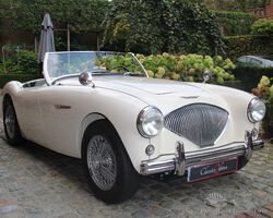 Top gerestaureerde Austin Healey 100/4 BN1 from 1954 Mille Miglia eligible!