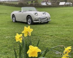 1959 Austin-Healey Sprite Mk1 - Extensive Restoration with New Body Shell