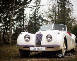 1952 Jaguar XK120 SE Roadster | Osenat | Automobiles de Collection | March 29, 2021