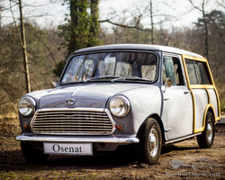 1978 Mini 1100 Estate Countryman | Osenat | Automobiles de Collection | March 29, 2021