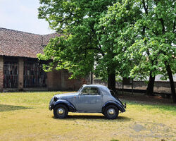 FIAT TOPOLONO TYPE A