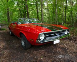 FORD MUSTANG MACH 1 CONVERTIBLE