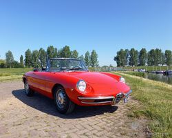 NEW PRICE - 1969 Alfa Romeo Spider 1750 Duetto