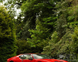 1990 De Tomaso Pantera GT5-S Coupé | Bonhams Goodwood Festival of Speed Sale