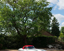 1963 Jaguar E-Type 'Lightweight' Replica | Bonhams Goodwood Festival of Speed Sale