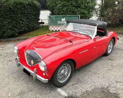Austin Healey - 100/4 BN1