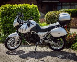 2004 Triumph Tiger 955i | Ascot Racecourse Sale | Historics Auctioneers | 21st May 2022