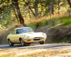 1969 Jaguar E-Type Series II 4.2 Coupe | Quail Lodge Auction 2022 | Bonhams | August 19, 2022