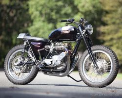 1977 Triumph Bonneville ‘Sonny Nutter’ Street Tracker | Geared Online | Auction ends 8 December 2023