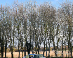 1970 Aston Martin DB6 Mark 2 Sports Saloon | Goodwood Members' Meeting Auction 2024 by Bonhams|Cars