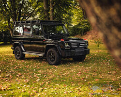 2016 Mercedes-Benz G350d Professional | The Zoute Sale 2024 by Bonhams|Cars