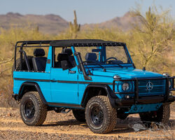 1990 Mercedes-Benz 250GD 'Wolf' | The Scottsdale Auction 2025 by Bonhams|Cars