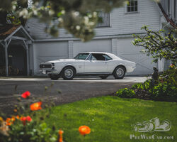 1967 Chevrolet Yenko Super Camaro 450 | RM Sotheby's | Monterey