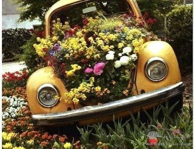Say it with flowers