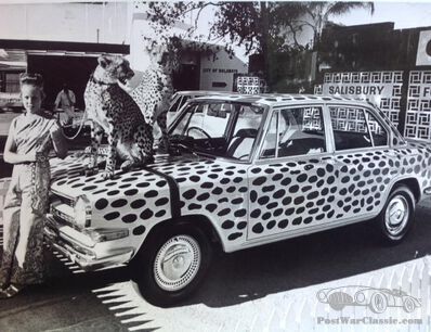 BMW's Cheetah - with a cheetah or two