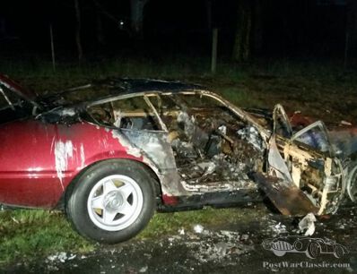Daytona stolen and torched ‘by accident’