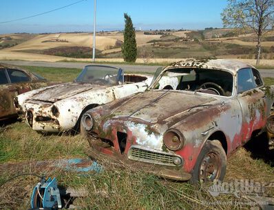 Super Alfa find, thanks to the Finder behind the Dealer