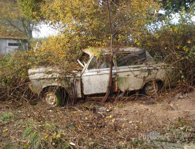 Hedge found 1955 Peugeot 403 