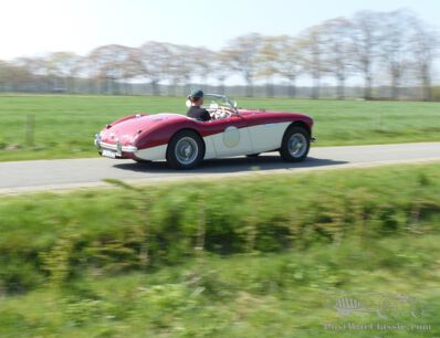 Living with a Healey 100
