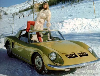 't Sneeuwkonijntje