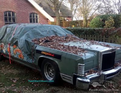 Ready for winter with killer blanket?
