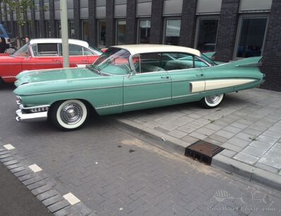 Dutch Saturday Night Cruise