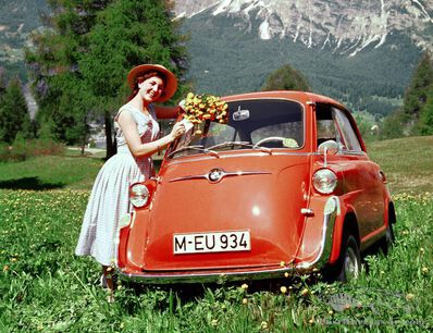 Alpine Angel