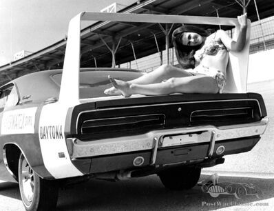 Daisy Duke's dodgy niece