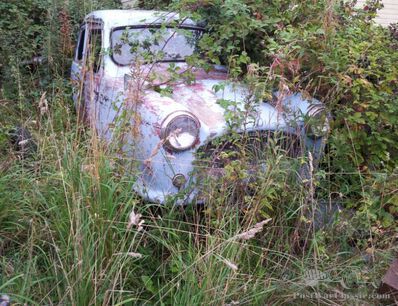 A shrubberies Mystery (update: Reliant Regal Mk VI)