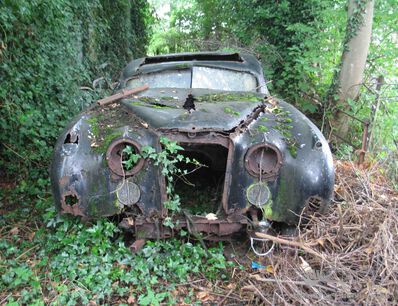 Jungle Jaguars (update: snake meeting; grest story added!