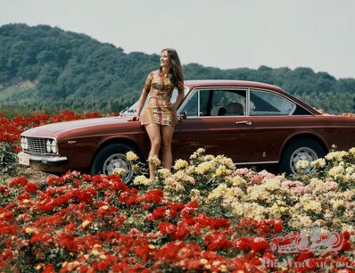 Seventies brunettes