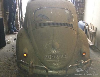 Beetle barn bum: no wash since 1984