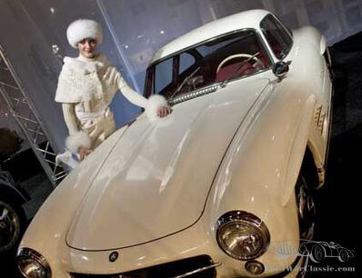 A unique collection of Mercedes models  in Maastricht. 